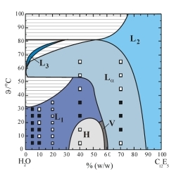 C12E5 Phase Diagram